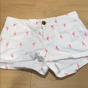 Flamingo Shorts